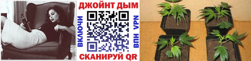 Купить Кокаин  Альфа ПВП  ГАШ  МАРИХУАНА  Меф  Димитровград