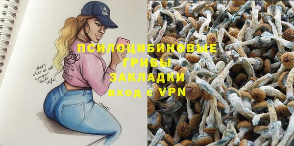 ALPHA PVP Михайлов