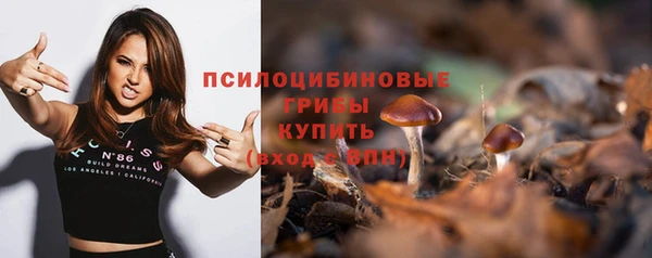 амф Михайловск