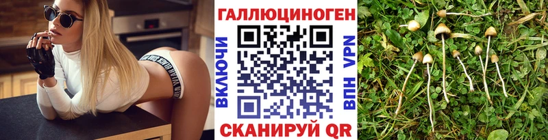 Купить где  Димитровград  Галлюциногенные грибы Psilocybine cubensis
