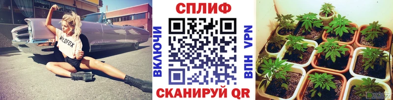 Бошки Шишки Ganja  Купить  Димитровград 